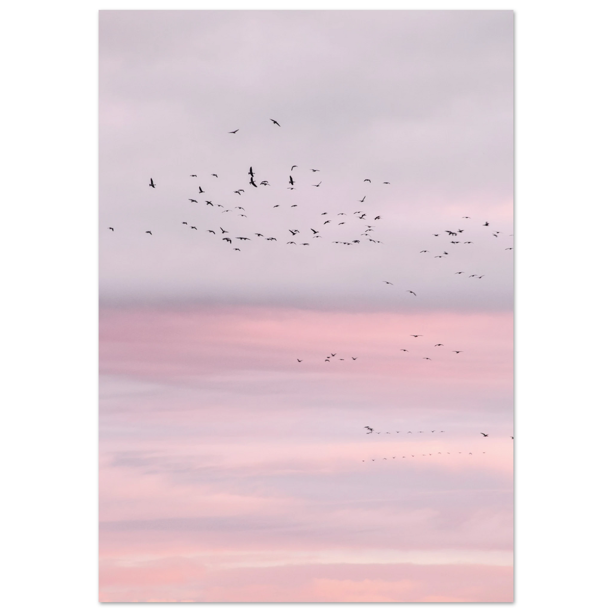 20dbe140-14ac-4d62-b872-dcb4ca140222