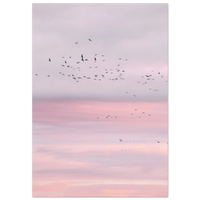 20dbe140-14ac-4d62-b872-dcb4ca140222