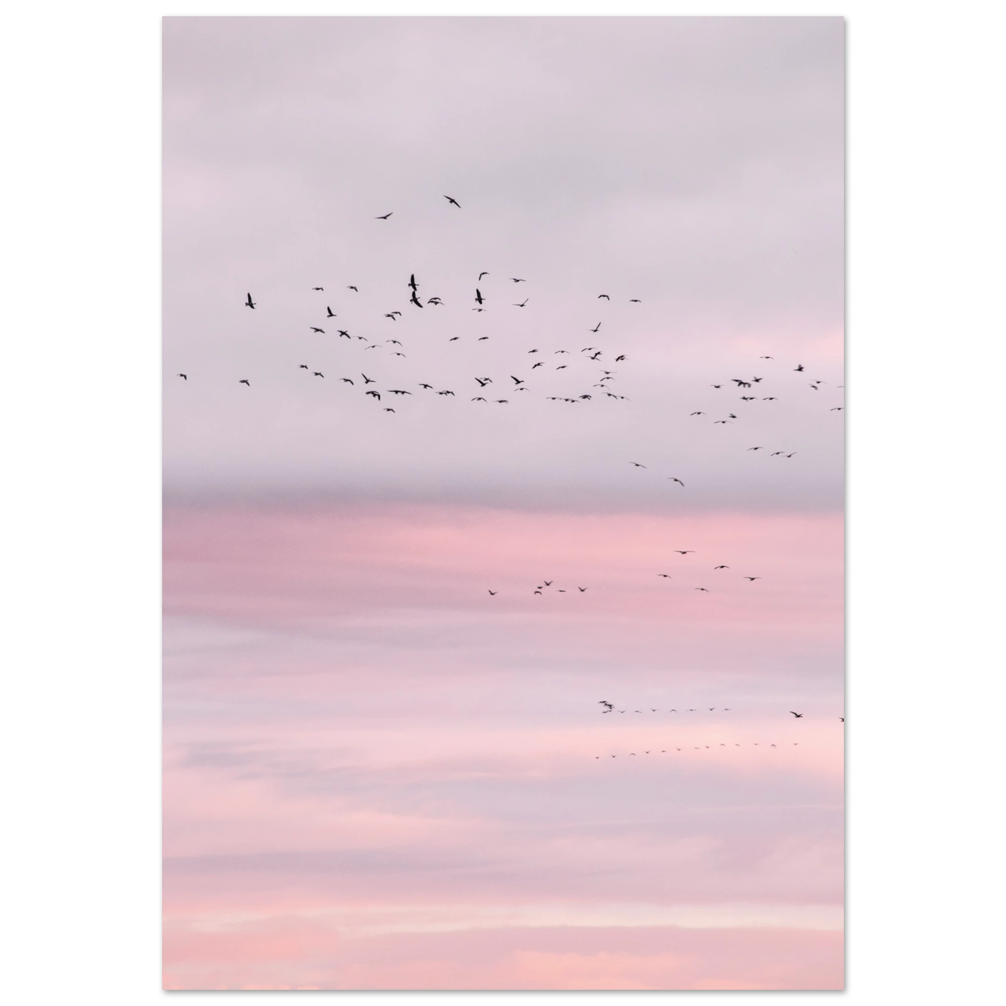 20dbe140-14ac-4d62-b872-dcb4ca140222