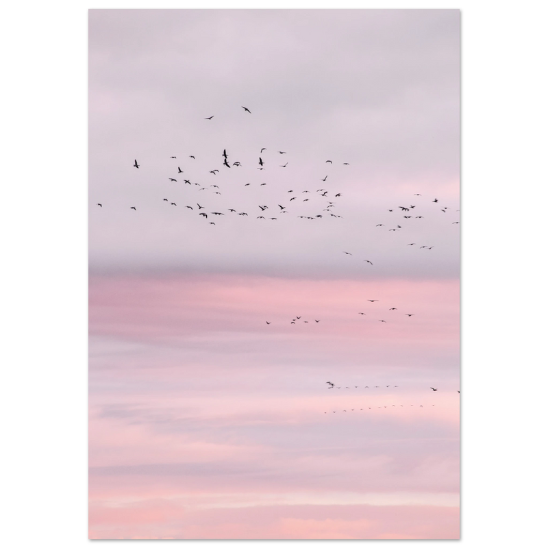 20dbe140-14ac-4d62-b872-dcb4ca140222