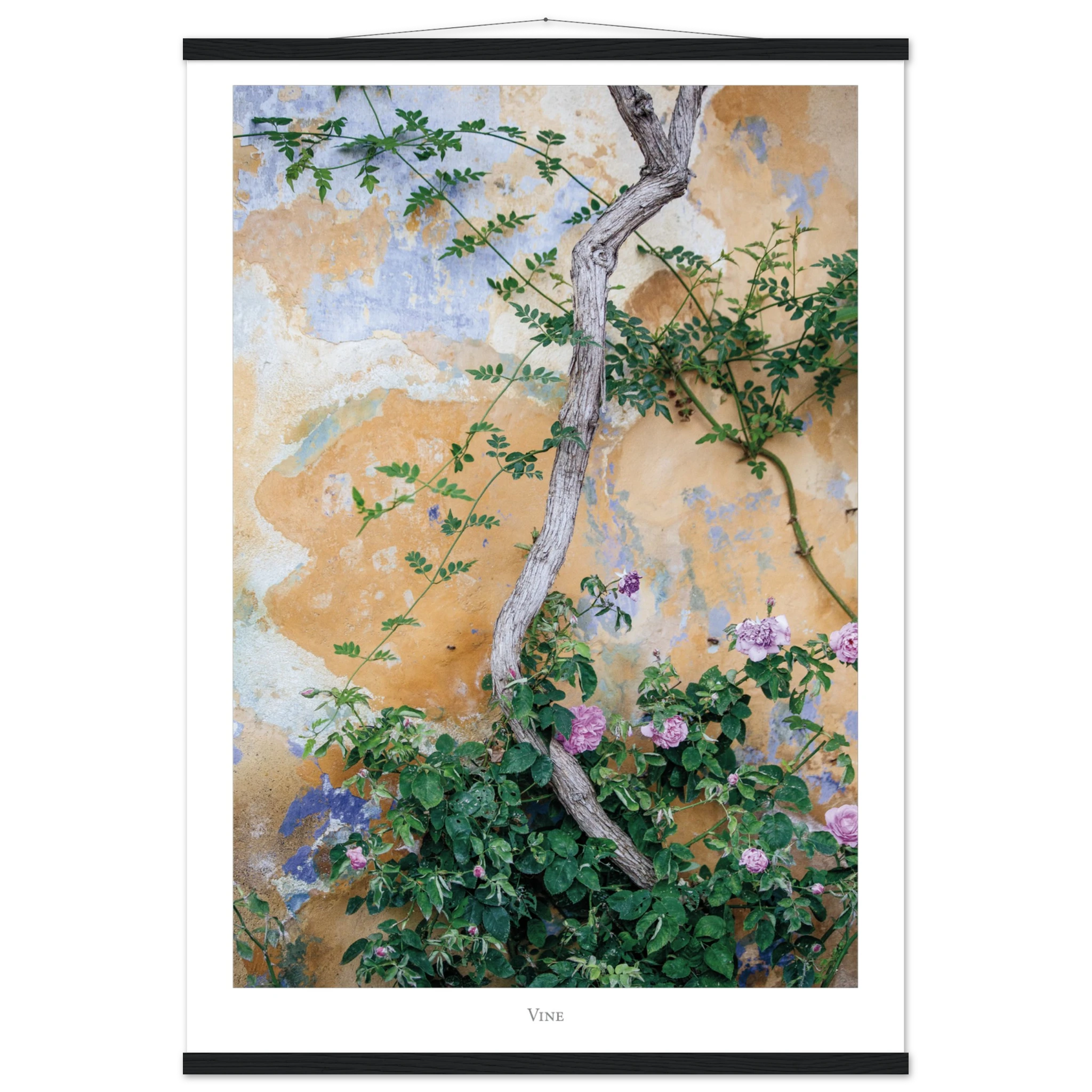 22bc82bf-6f99-4caf-8a67-64caf4c4b4d4