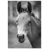 22e920b4-e706-48a4-ae88-4b681c1b357a