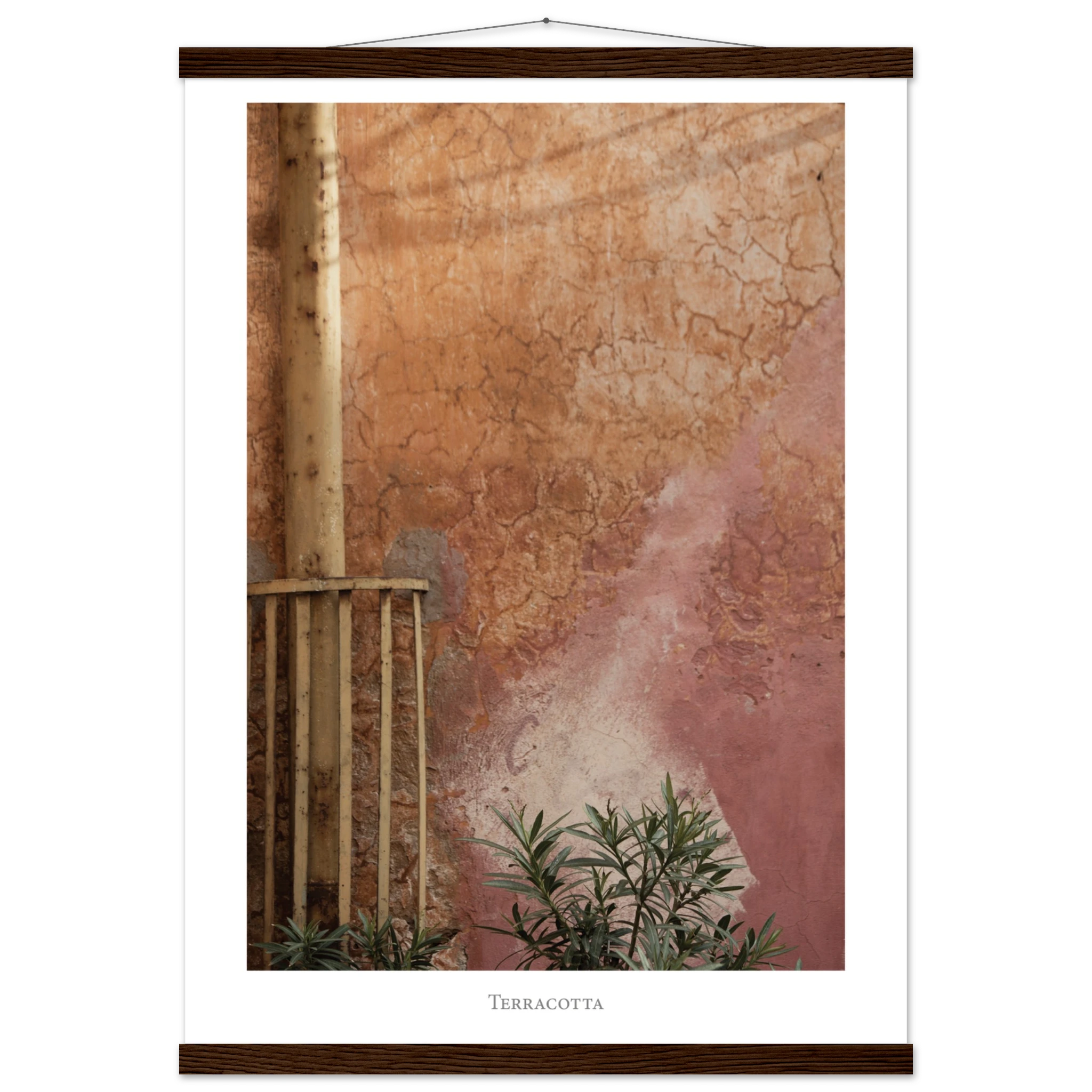 23d20b88-c7c6-49b8-9b93-9c7cb45e614a