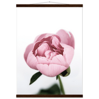 246176fa-7678-4579-ba53-030aaf834d15