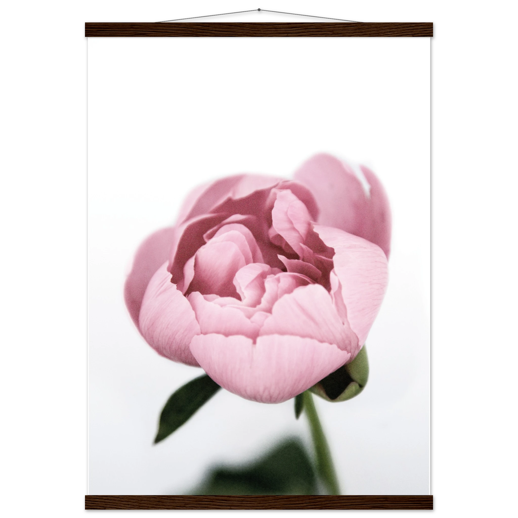 246176fa-7678-4579-ba53-030aaf834d15