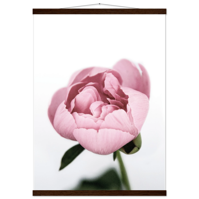 246176fa-7678-4579-ba53-030aaf834d15