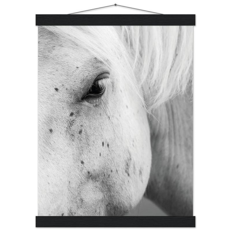 276bc2f1-57be-4b93-b45e-0c8eca7a68f4