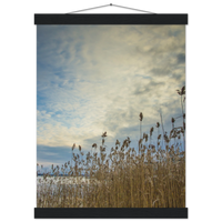 279cc4a9-be1a-4beb-84ff-f9f3599a0470