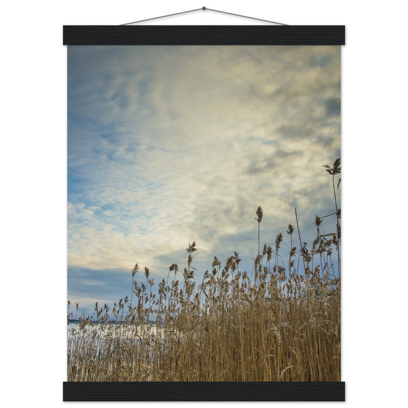 279cc4a9-be1a-4beb-84ff-f9f3599a0470