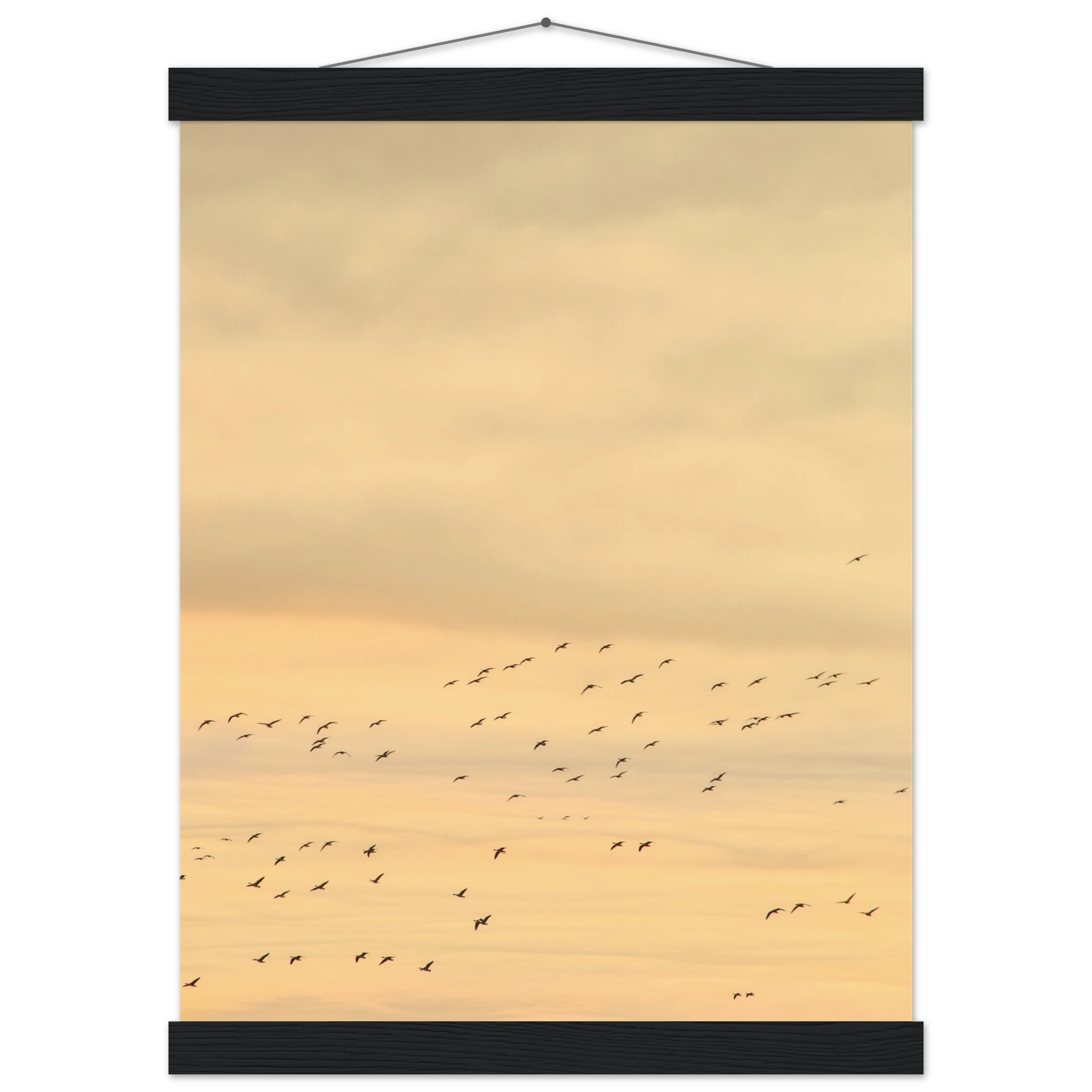 2993e118-90d5-4f50-9704-3735bec61eaa