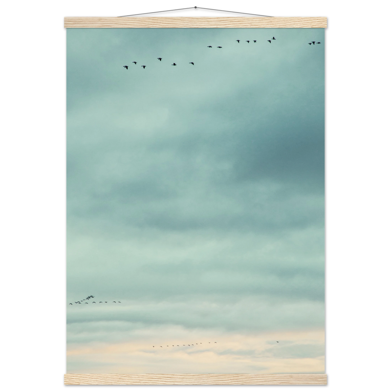 29cb2ca6-9a12-415d-b3fa-c513651bebde