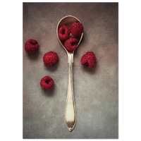 29e0396a-c63a-4119-9508-af7cff407e90