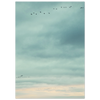 29e84b7a-d955-452a-ba49-991aef5c62e6