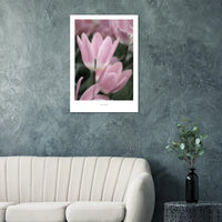 2a199765-74bc-4b9d-938a-74d18455c0a7