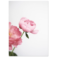 2a63bb43-7bf9-4147-aef7-17ee918766d8