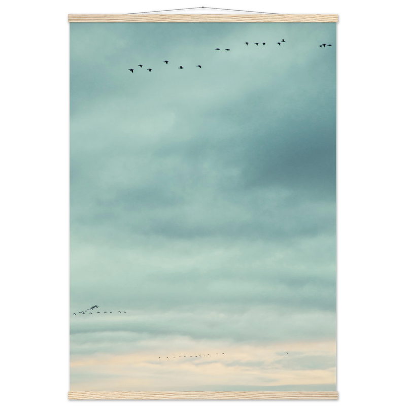 2c13039d-1ead-449e-9409-4348af409d06