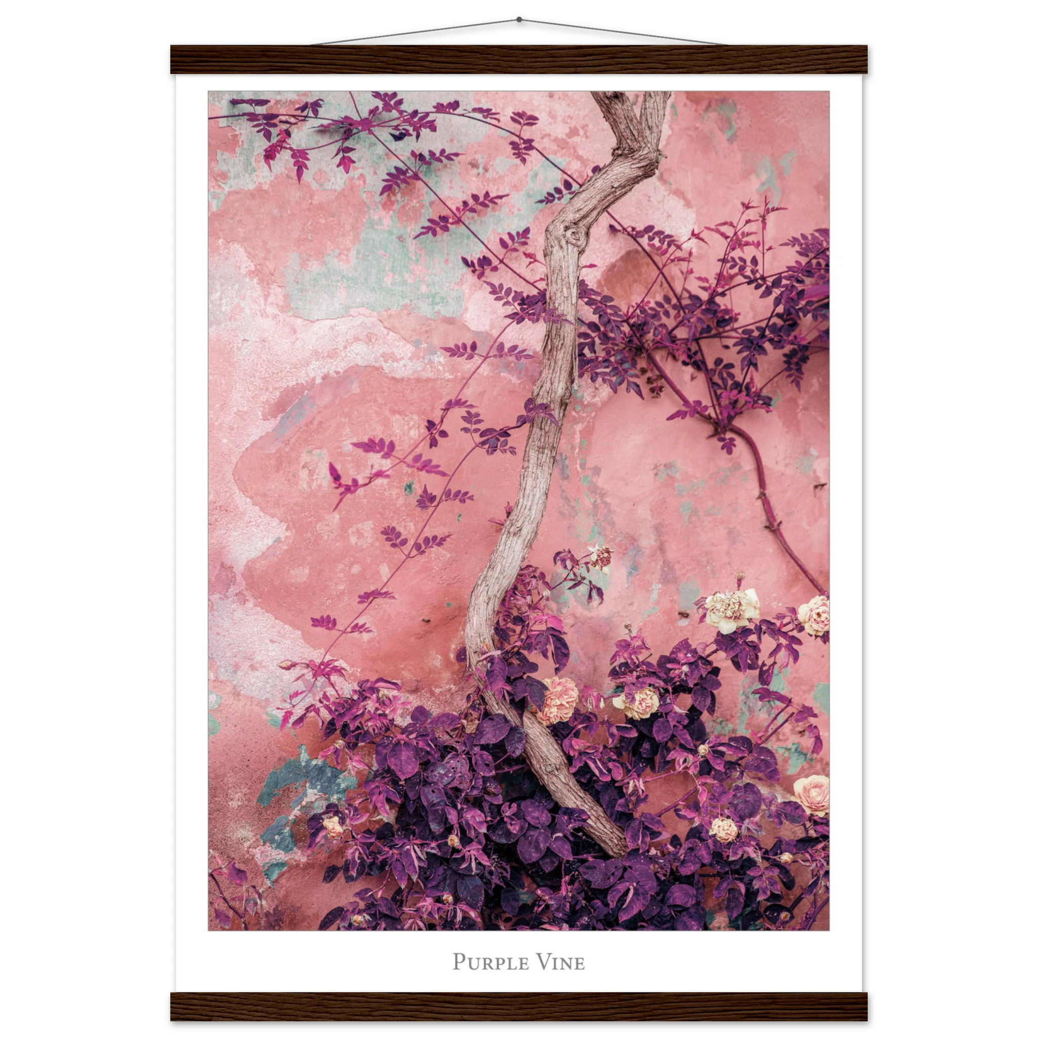 2c1f9d51-1782-43b4-8c79-c0ea56d6431a