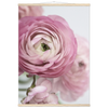 2ce750f2-1b40-4bb2-af7f-0364f16943df