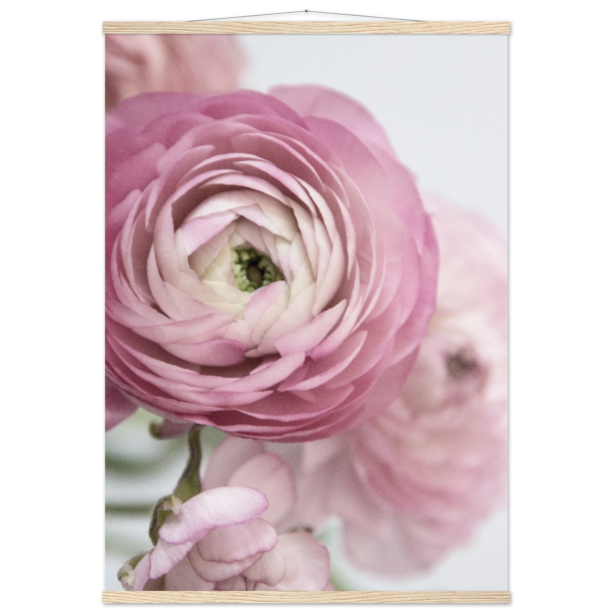 2ce750f2-1b40-4bb2-af7f-0364f16943df