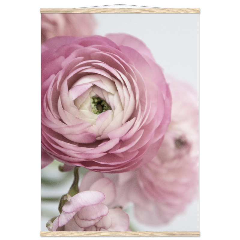 2ce750f2-1b40-4bb2-af7f-0364f16943df