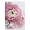 2e2fabae-7f9c-46f1-8337-9100c9974309