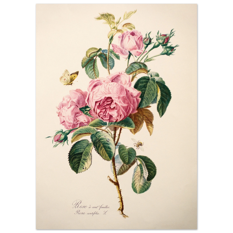 2e7a347d-661b-408b-96ae-7b2c1d63fb6c