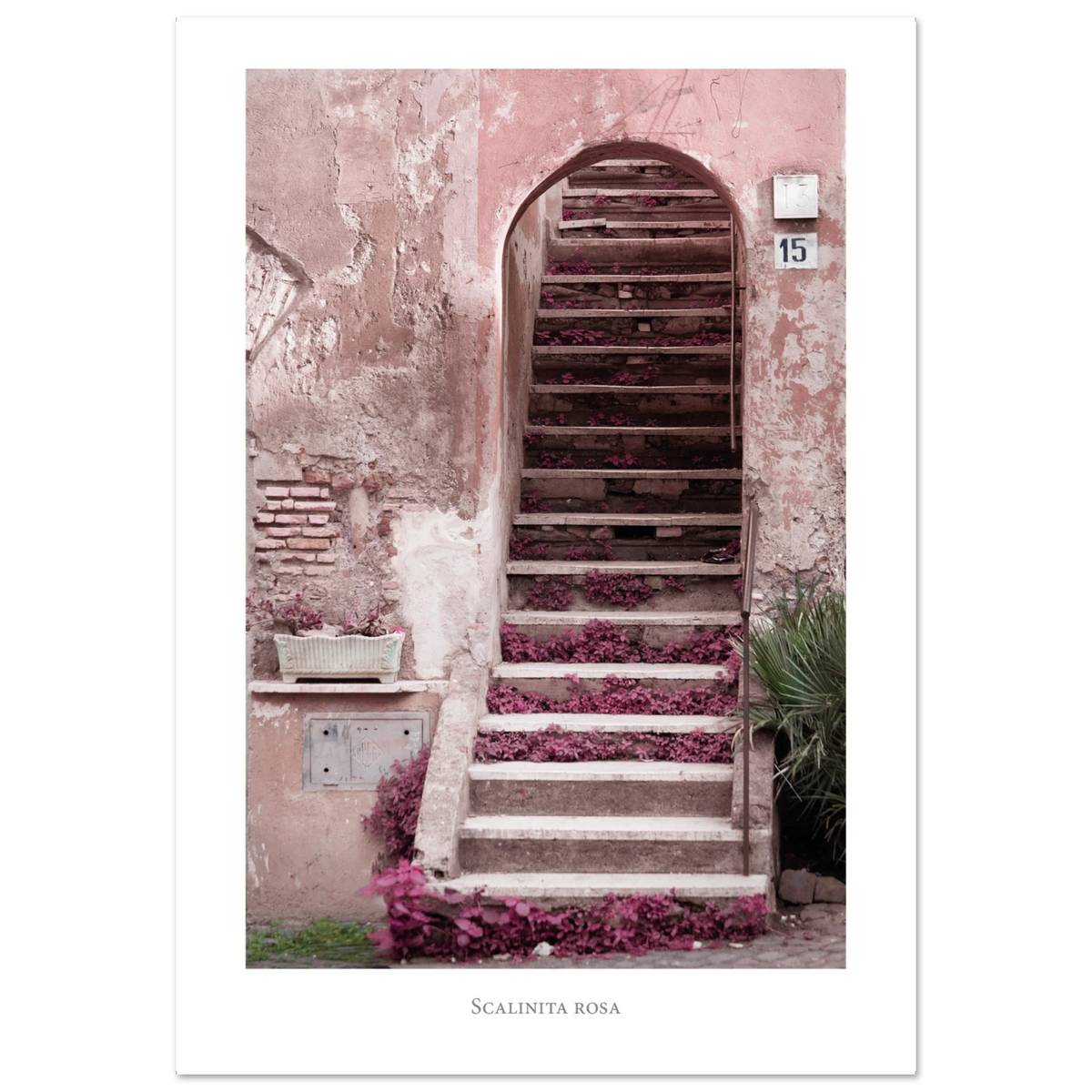 2e9ed09d-1060-43eb-aa65-7716cff92f31