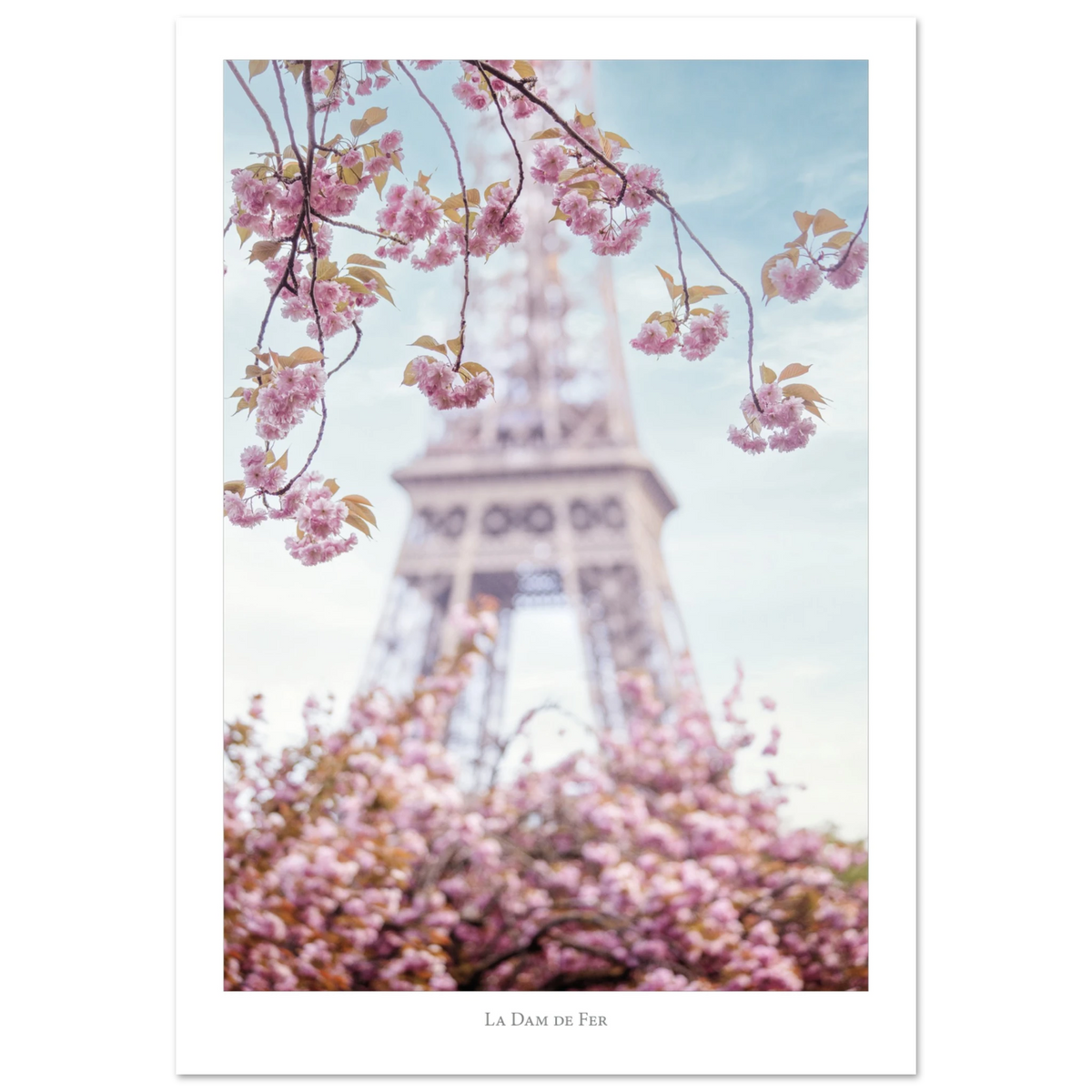 3096d52a-2d62-4cea-81af-d02f438fd08f