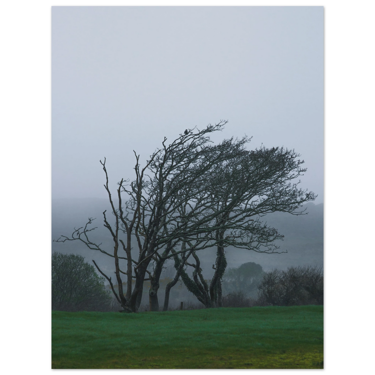 3101e661-79ca-4b16-a974-8e8471cf8073