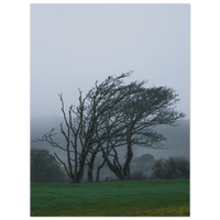 3101e661-79ca-4b16-a974-8e8471cf8073