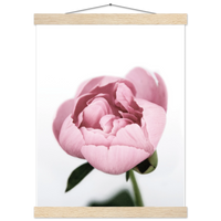 322ba6ab-28e2-42ba-803e-5f156e39219d