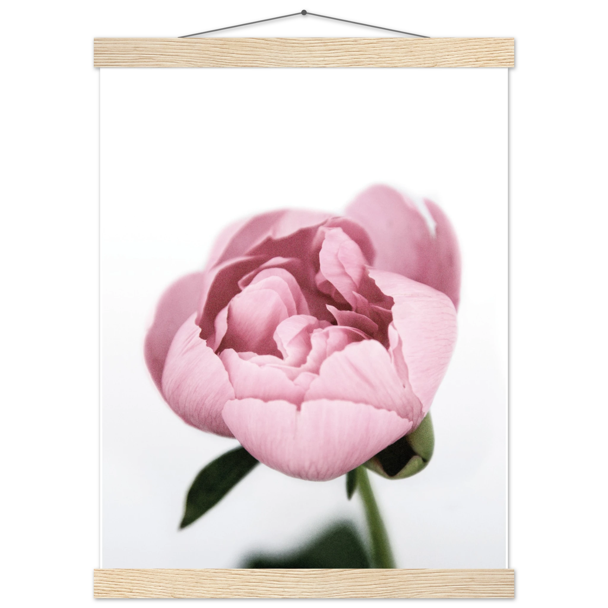 322ba6ab-28e2-42ba-803e-5f156e39219d