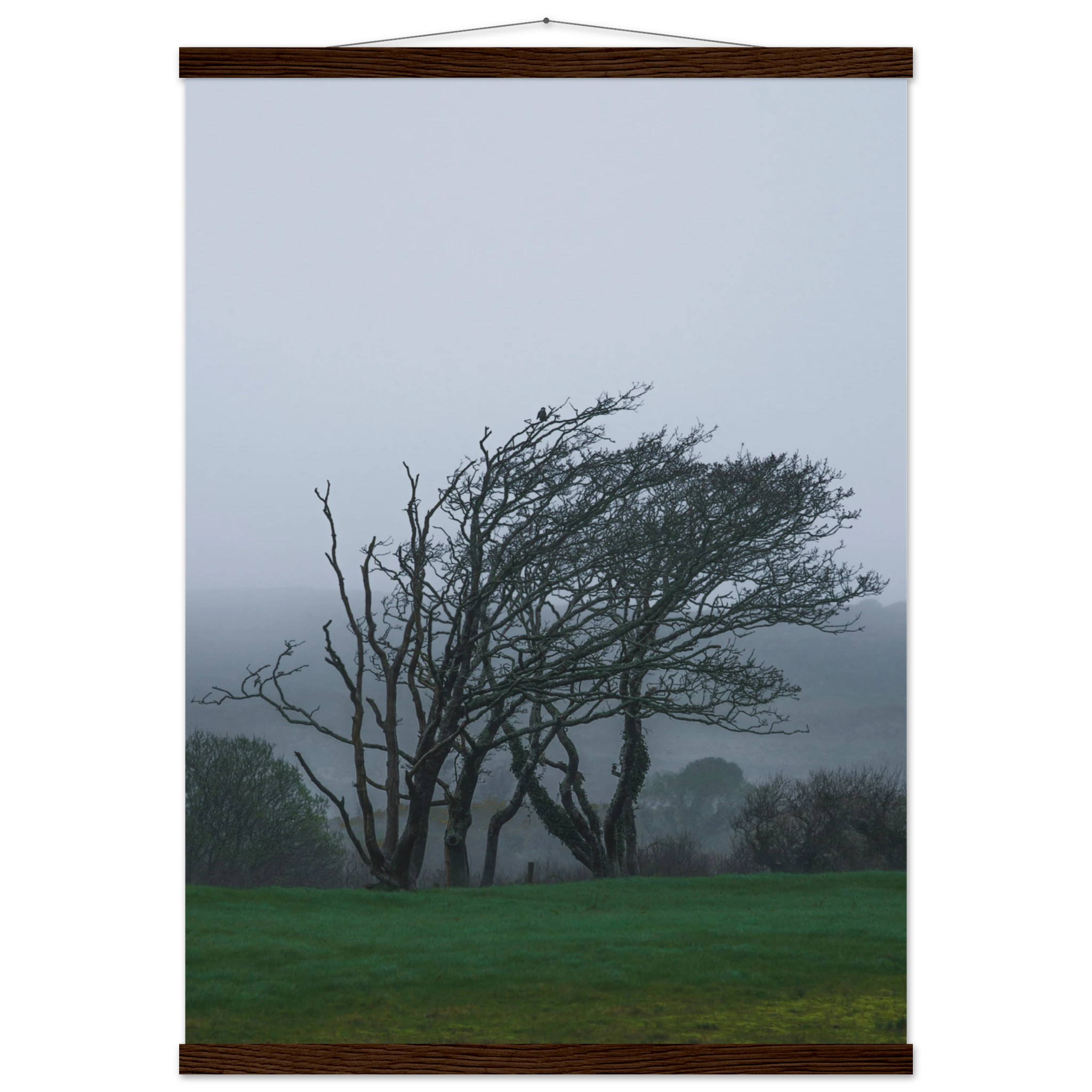 32a028fc-ef55-487a-bfba-2d599b710d40