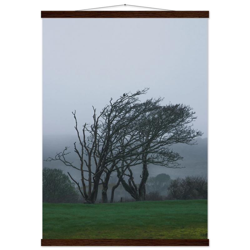 32a028fc-ef55-487a-bfba-2d599b710d40