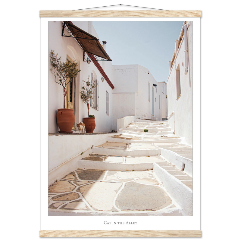 32a9c419-d305-49f2-8230-0400e8a7e43c