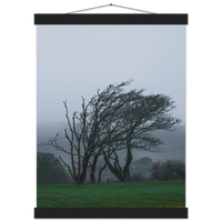 33587497-6112-40f9-9528-e31f52e72081