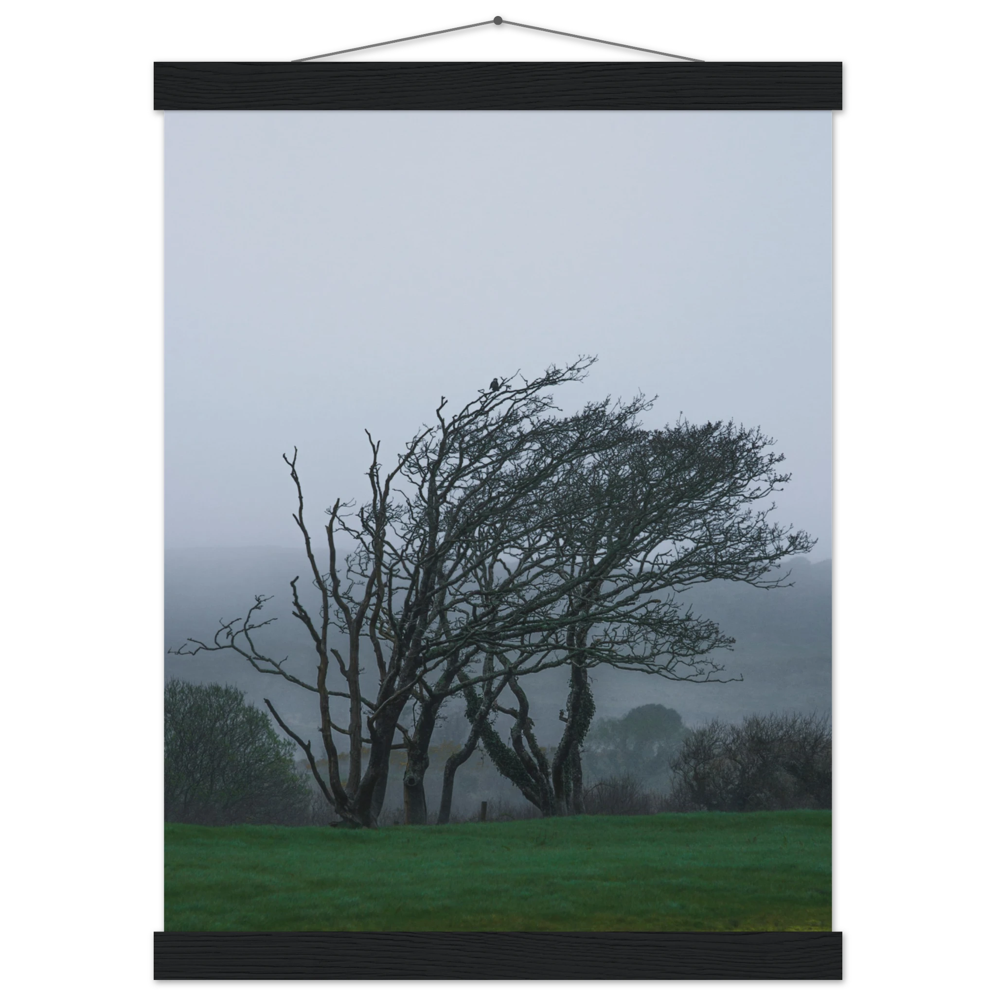 33587497-6112-40f9-9528-e31f52e72081