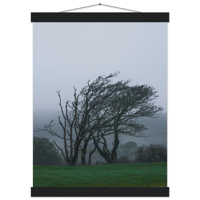 33587497-6112-40f9-9528-e31f52e72081