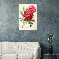 335c8319-1d19-4a1a-a48d-bdcd4b79cff5