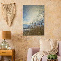 33b00428-ae3b-4af6-ad62-a094924063f4