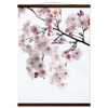 33ec2553-8038-4456-9d70-f699bd488015