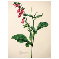 344c4a87-a883-4239-bb5f-01adf11119d8