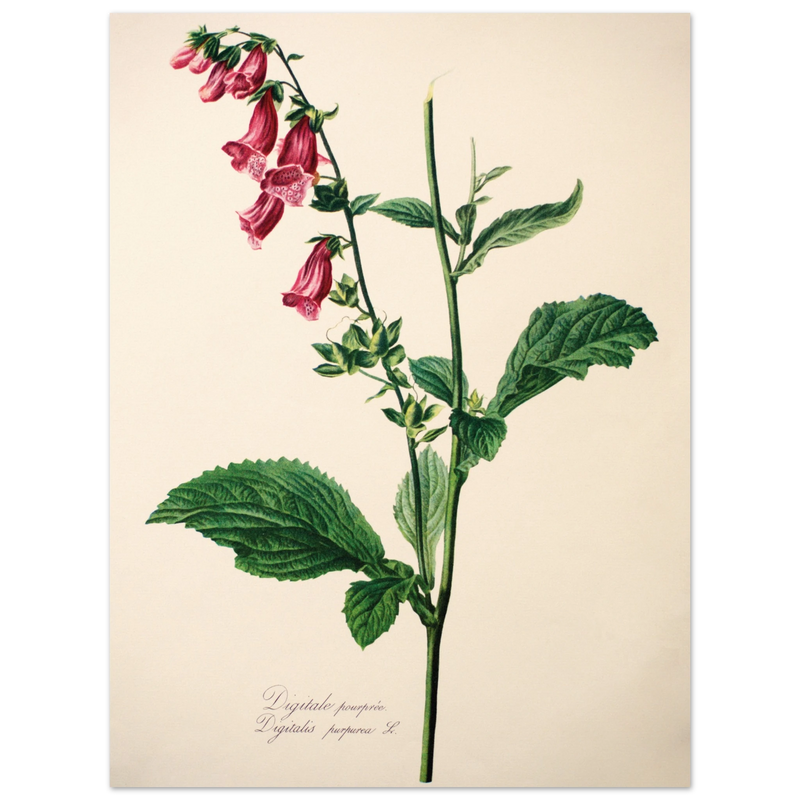 344c4a87-a883-4239-bb5f-01adf11119d8