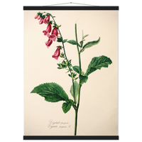 346e28ed-5339-44e0-a173-512df89df188