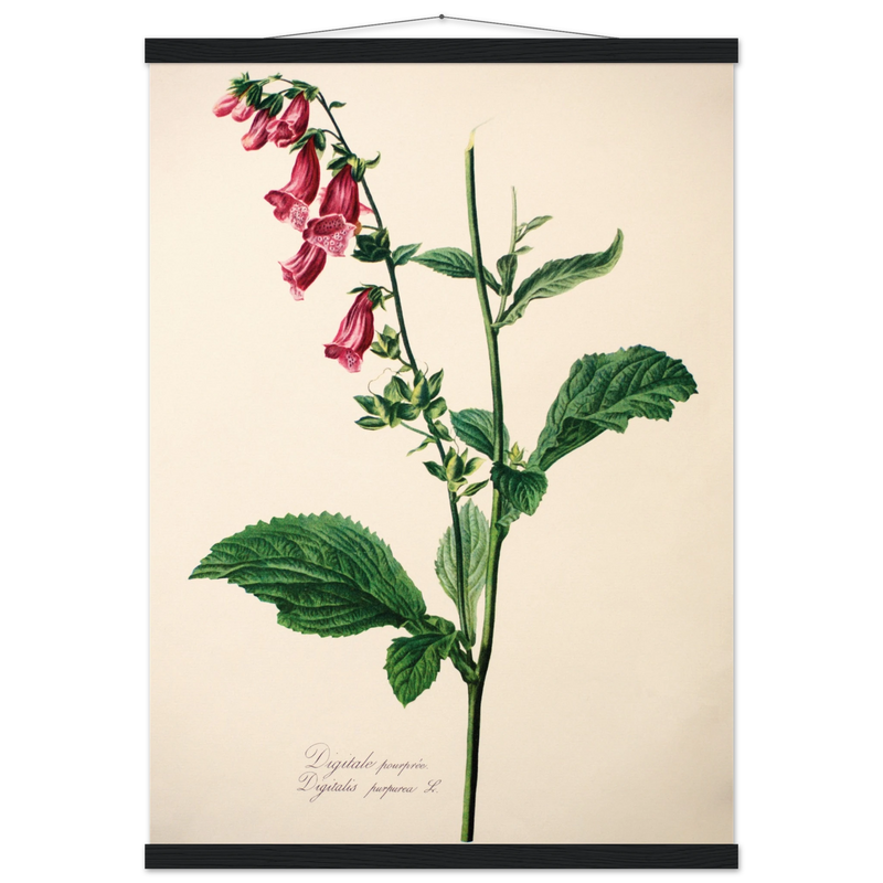 346e28ed-5339-44e0-a173-512df89df188