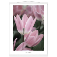 34cc980c-cc57-40aa-a7b1-7469193c3258