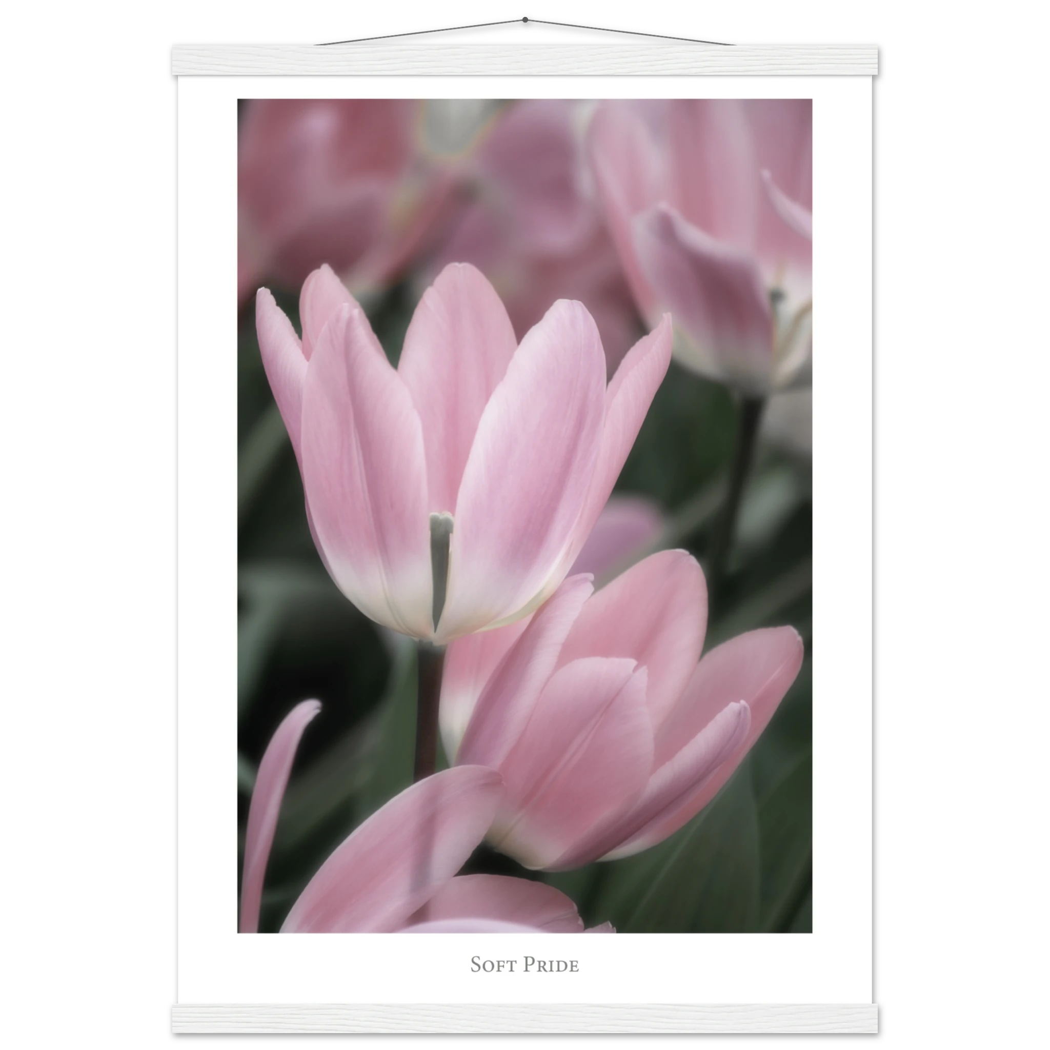 34cc980c-cc57-40aa-a7b1-7469193c3258