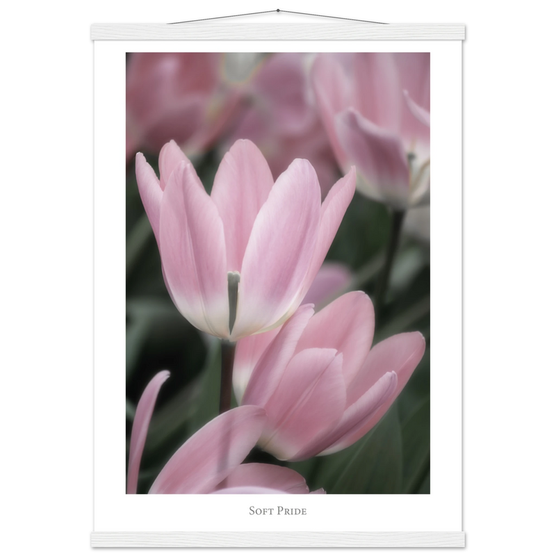 34cc980c-cc57-40aa-a7b1-7469193c3258