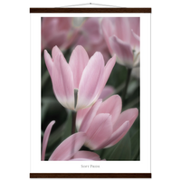 35301b73-49ea-4613-87a7-05260b09353b