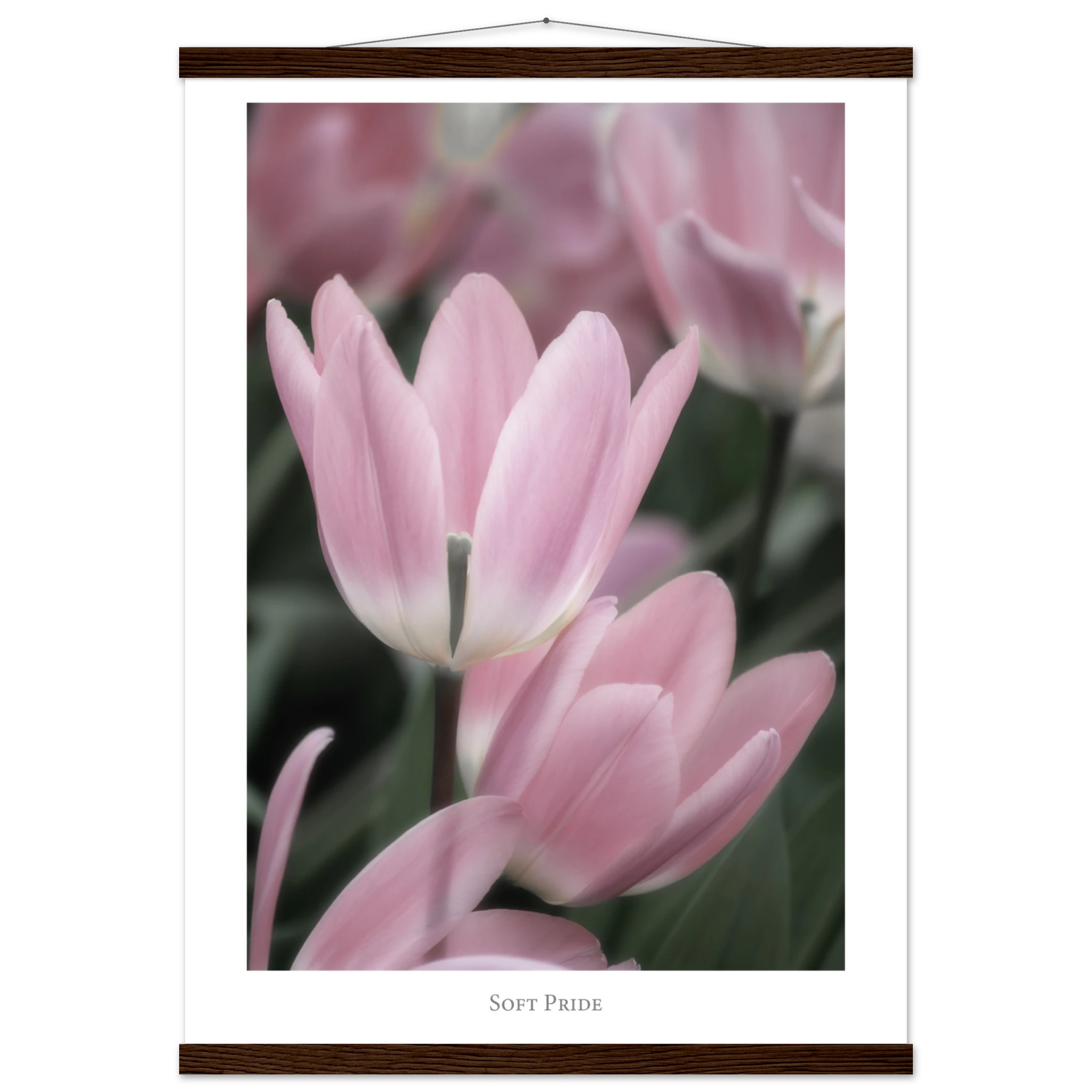 35301b73-49ea-4613-87a7-05260b09353b